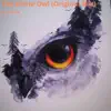 Dj Tosh Sa - The White Owl - Single